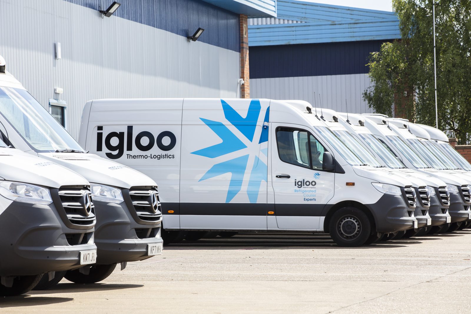 Igloo refrigerated fleet lined up at the depot