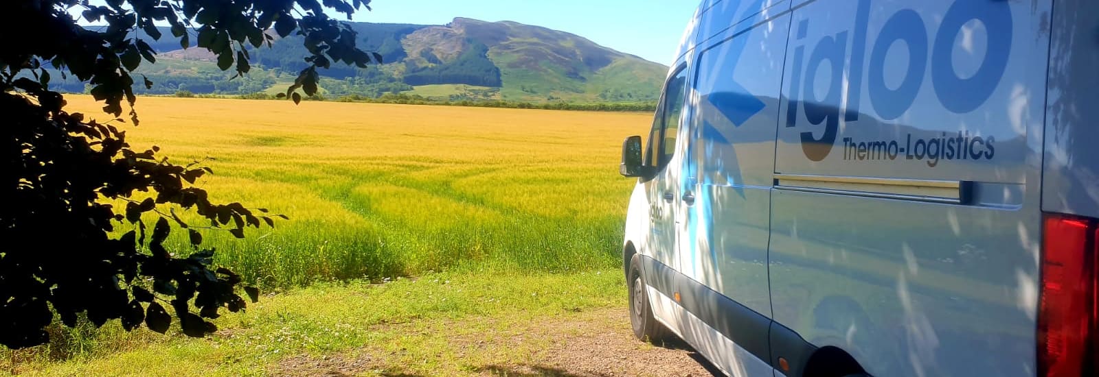 Igloo van on a rural round, parked beside a barley field